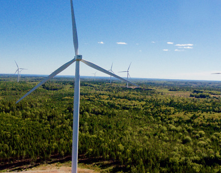 Wind Turbines Against A Green Landscape