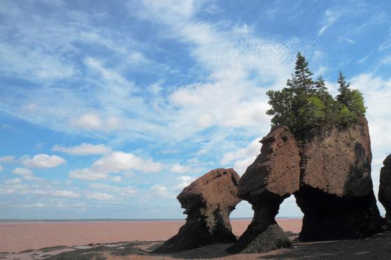 fundy2