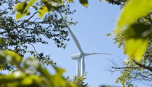 wind-turbine-green-leaves