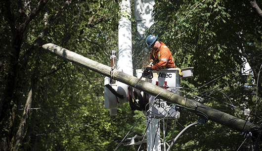 tree-trimmer-in-bucket-arm9