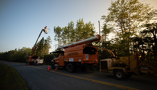 tree-trimming-crews-truck3