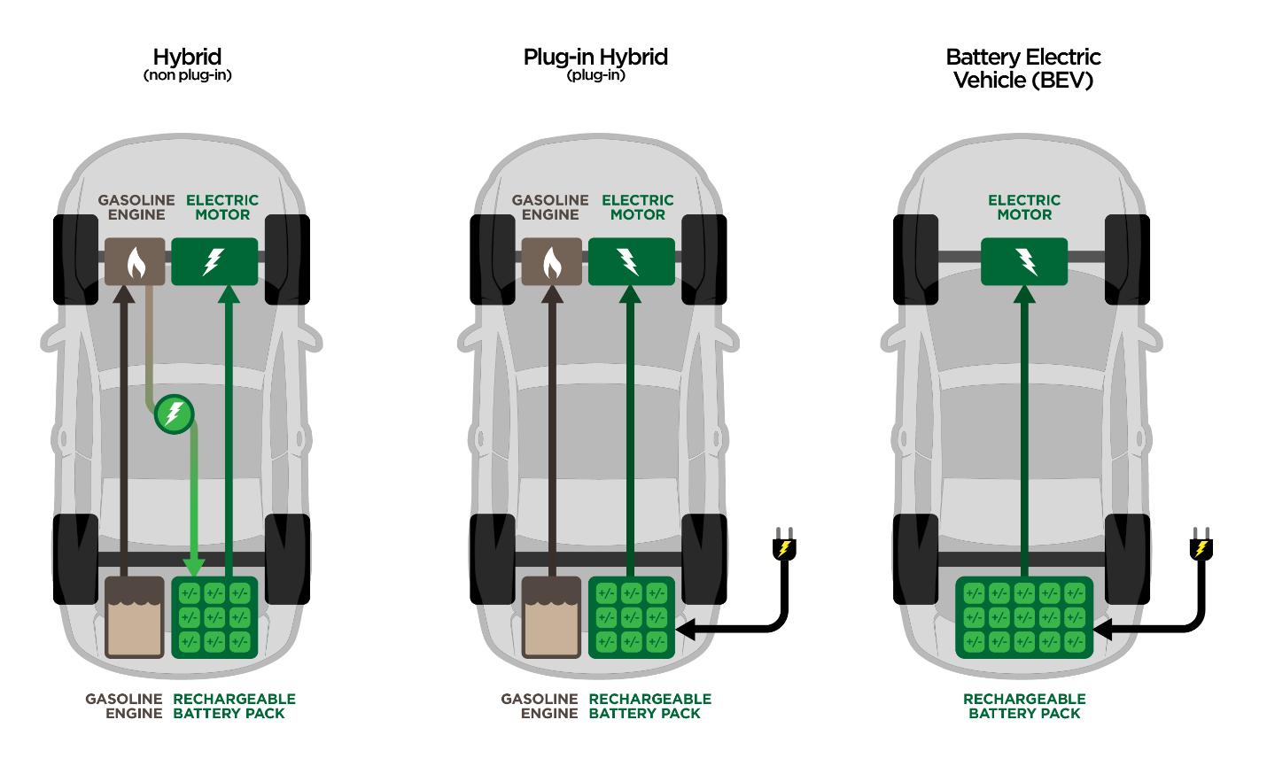 Types of EVs1